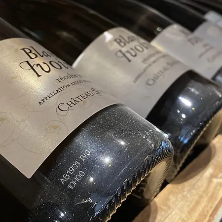 The Originals City, Angers Sud, Le Village 49 3*