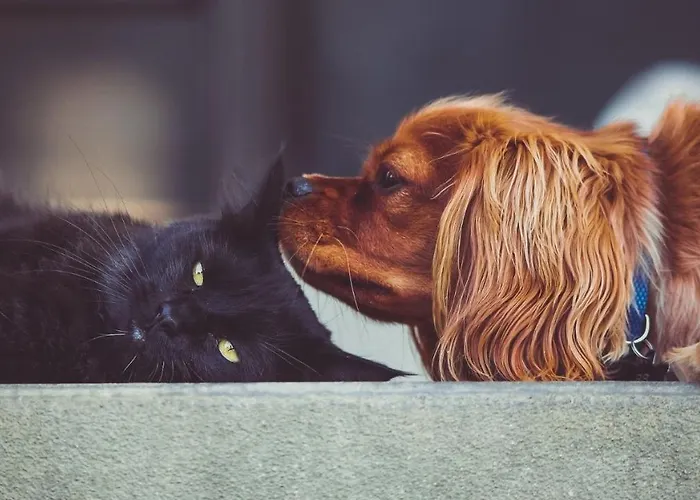 The Originals City, Angers Sud, Le Village 49 Les Ponts-de-Cé