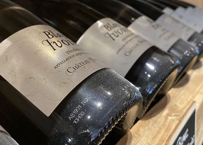 The Originals City, Angers Sud, Le Village 49 3*